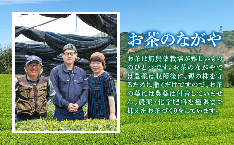 【吉良茶】粉末かぶせ茶 スティックタイプ　0.5g×100本・O059