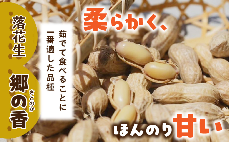 塩茹で専用！生落花生『300g×6パック』・S063