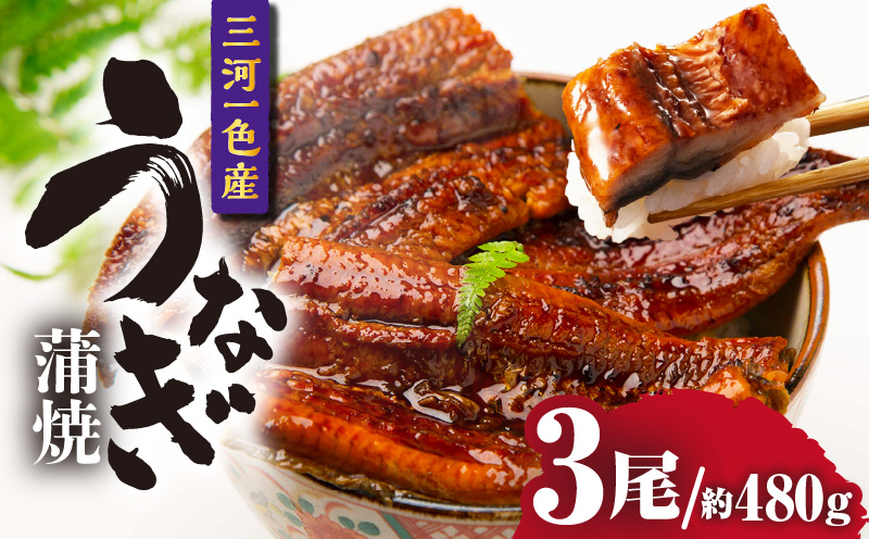 三河一色産うなぎ蒲焼 3尾（約480g）・O067