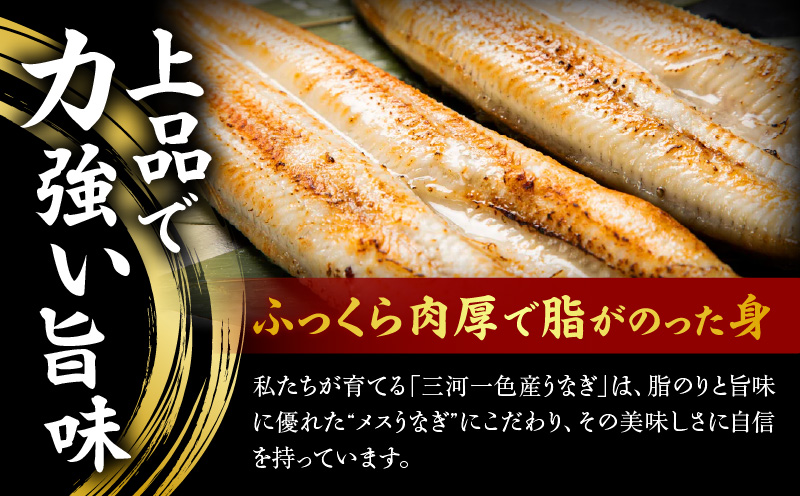 焼鰻特選メス妃うなぎ特大2尾　計340g　（白焼き・たれ付き）・Y098