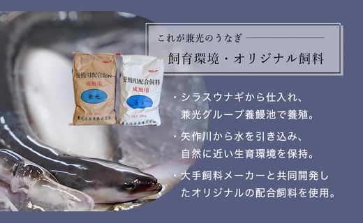 大ボリューム1kg　愛知県三河一色産　うなぎ蒲焼き　（5尾～7尾） 蒲焼き 総菜 国産うなぎ ウナギ 鰻 愛知県産 西尾市産 西尾一色産 タレ付き たれセット 蒲焼き かば焼き・U040