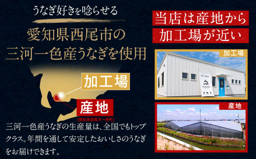 【定期便】三河一色産うなぎ蒲焼特大2尾(計320g以上)×3回・R013