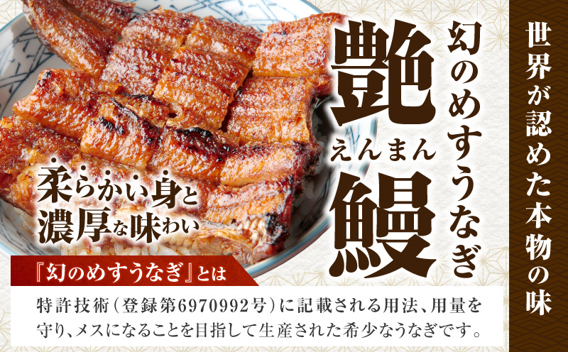 三河一色産　幻のめすうなぎ艶鰻　白焼6尾・T122