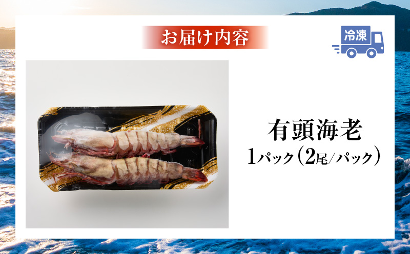 【数量限定！特別価格】〈高級〉KING SEA TIGER 王の海老2尾・K305-12