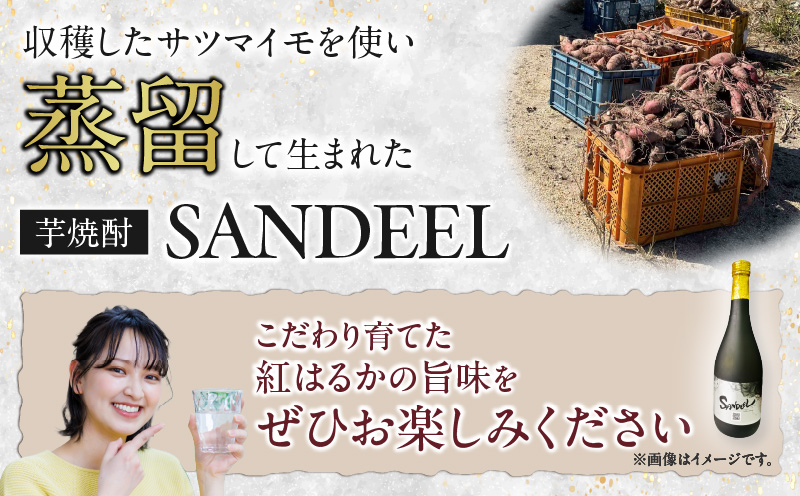 本格焼酎「SANDEEL」1本（720ml）・S071