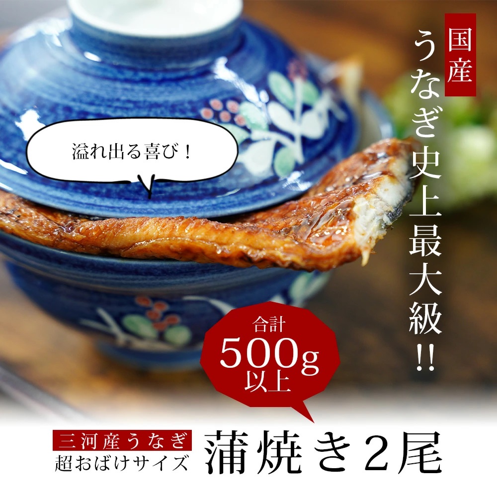 三河産うなぎ「超おばけサイズ蒲焼き2尾」合計500g以上 鰻 ウナギ うなぎ 蒲焼 国産 うなぎ蒲焼 タレ付き たれ 国産うなぎ 蒲焼き うな丼 丑の日 土用の丑の日・A116-20