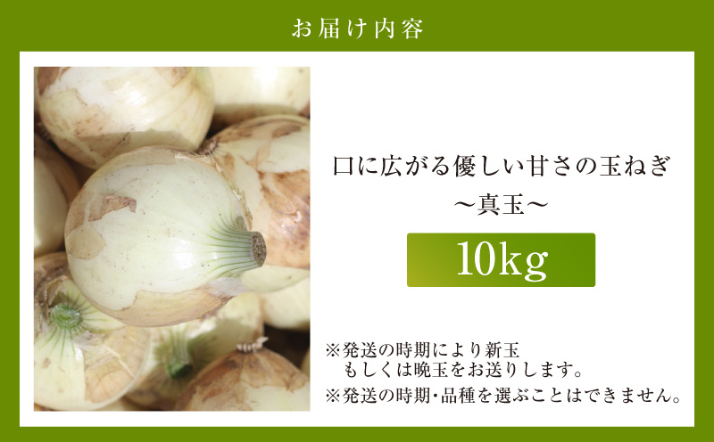 口に広がる優しい甘さの玉ねぎ ～真玉～　10kg（箱の重さ込み）・S098