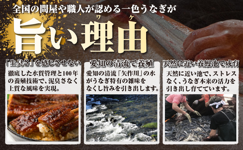 三河一色産うなぎ蒲焼 3尾（約480g）・O067