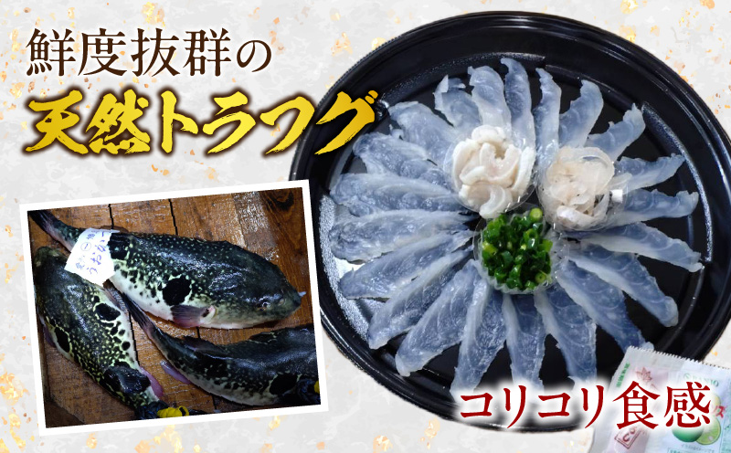 荳画イウ逕」螟ゥ辟カ繝医Λ繝輔げ蛻コ霄ォ縺ィ繝偵ぎ繝ウ繝輔げ縺溘◆縺阪ョ鬟溘∋豈斐∋繧サ繝繝