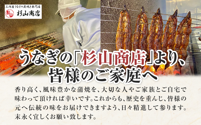 炭火手焼きうなぎ蒲焼2尾 化粧箱入（1尾あたり155g以上）・S060