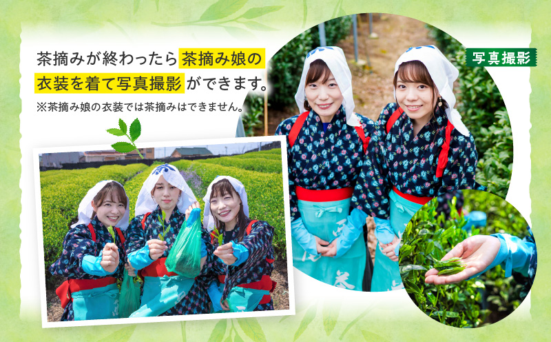 【体験期間4月末～5月中旬】一番茶茶摘み体験と抹茶工場見学(平日)チケット1名分・N065