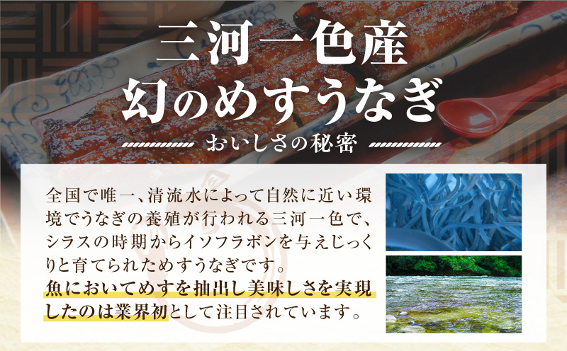 三河一色産　幻のめすうなぎ艶鰻　白焼6尾・T122