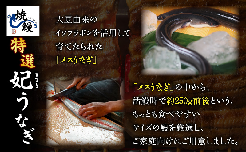 辟シ魏サ繧√♀縺ィ魏サ繧サ繝繝茨シ夂┥魏サ迚ケ驕ク繝。繧ケ螯縺縺ェ縺守音螟ァシ大ーセ縺ィ辟シ魏サ迚ケ驕ク繧ェ繧ケ蟶昴≧縺ェ縺主、ァ1蟆セ縲險310g繝サY100