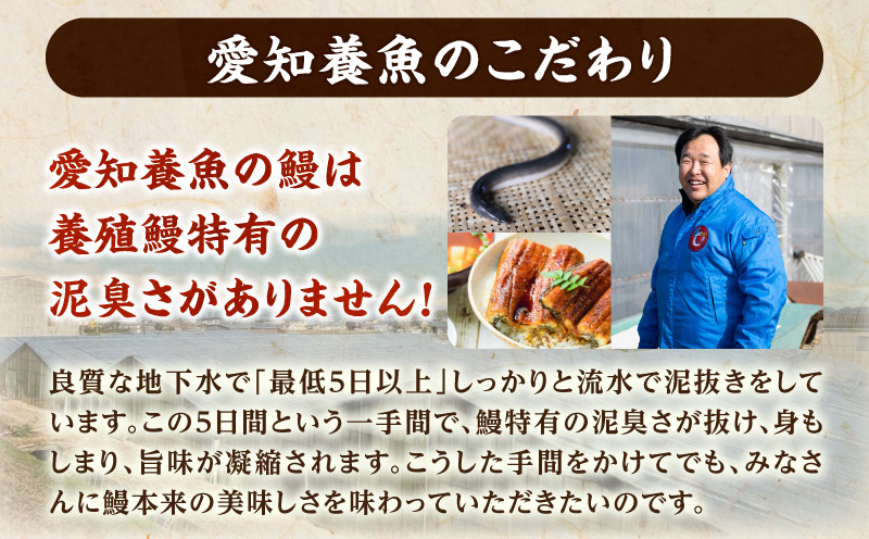 【定期便】三河産うなぎ「超特大蒲焼き3尾(合計580～600g)」×6回(隔月1回 1年間)・A192