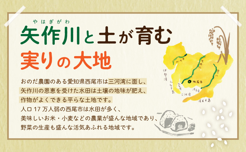【令和7年産】おのださんちのハッピー米(コシヒカリ)白米5kg×2・O017-26