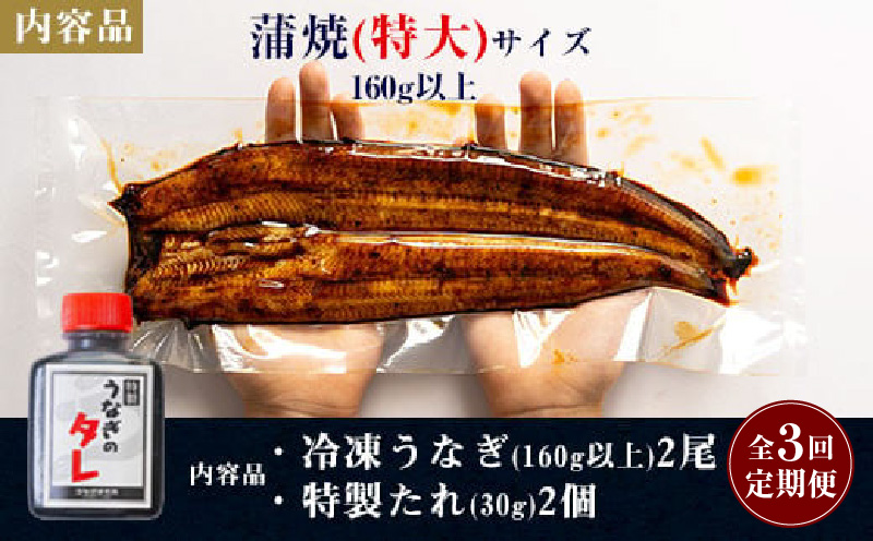 【定期便】三河一色産うなぎ蒲焼特大2尾(計320g以上)×3回・R013