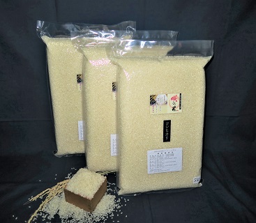 農場限定のお米　コシヒカリ15kg・K044-22