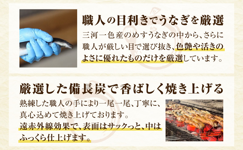 三河一色産　幻のめすうなぎ艶鰻　白焼6尾・T122