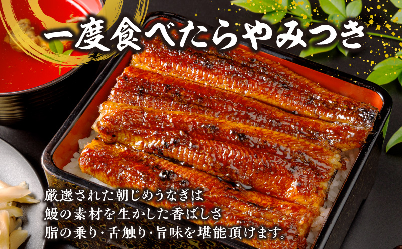 リピート続出！大サイズ335g以上　職人の手焼　食べ比べ2尾（蒲焼白焼各1尾）・Y082-17