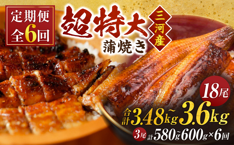 【定期便】三河産うなぎ「超特大蒲焼き3尾(合計580～600g)」×6回(隔月1回 1年間)・A192-156