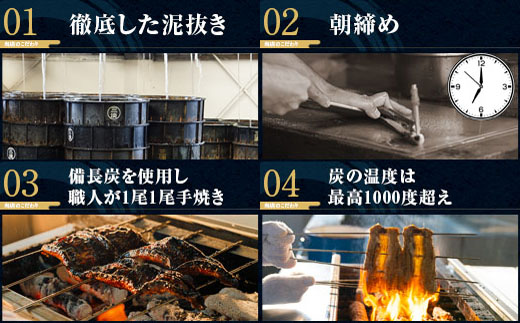 【定期便】三河一色産うなぎ蒲焼特大2尾(計320g以上)×3回・R013