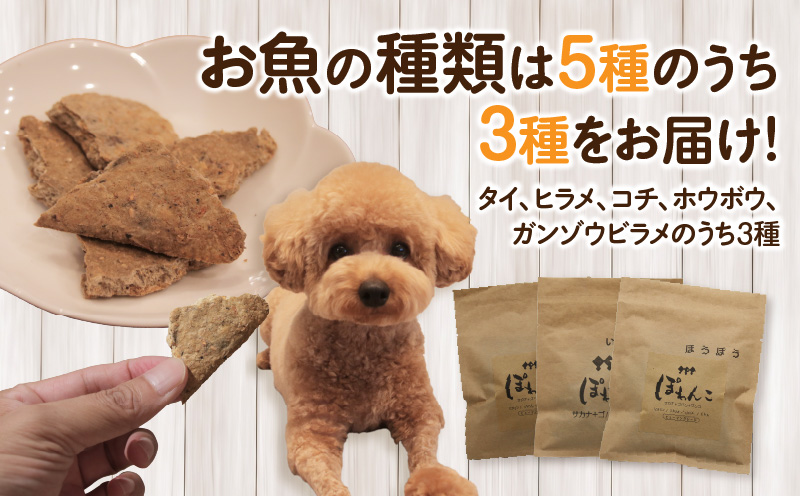 100%お魚で作ったペットフード「ぽわんこ」お試しサイズ・K322