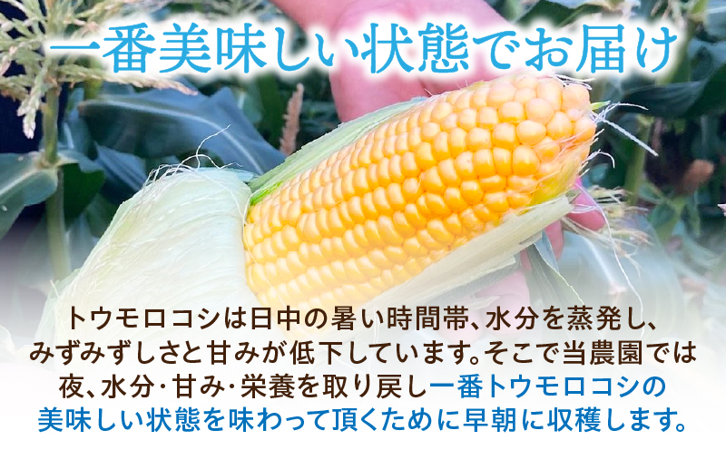 あなたはどっち派!?　味来vsドルチェドリーム楽しい食べ比べセット8本入・H062