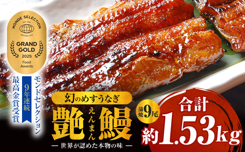 三河一色産　幻のめすうなぎ艶鰻　蒲焼9尾・T119