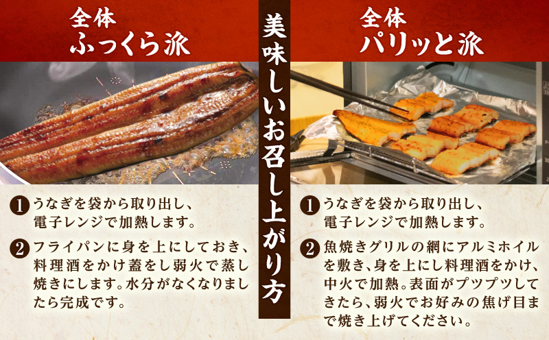 【定期便】三河産うなぎ「超特大蒲焼き3尾(合計580～600g)」×6回(隔月1回 1年間)・A192