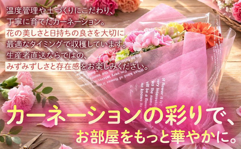 【母の日までにお届け（4/20までに決済完了）】生産者直送　想いを届けるカーネーション花束・T164