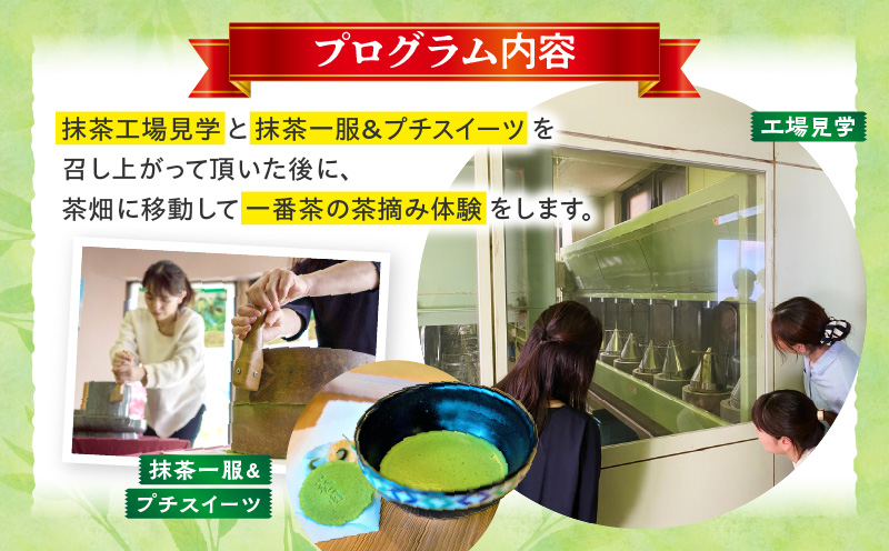 【体験期間4月末～5月中旬】一番茶茶摘み体験と抹茶工場見学(平日)チケット1名分・N065