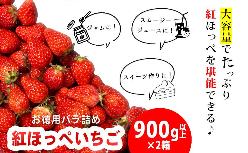 訳ありバラ詰めいちご(紅ほっぺ)　900g以上×2箱・O048-15 ／オオダケイチゴ 