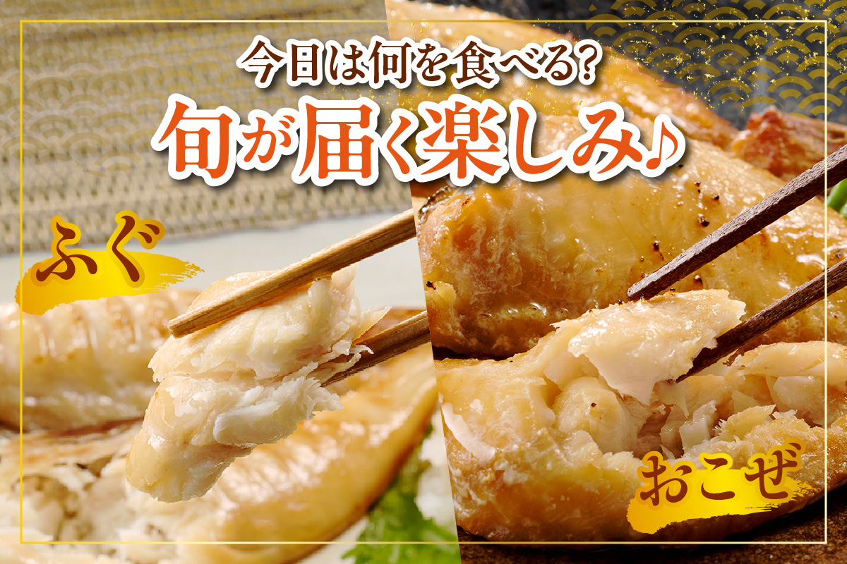 西尾の地魚　干物セット・K015-13