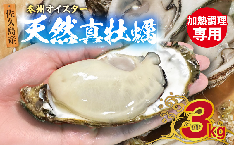 佐久島産天然真牡蠣　参州オイスター　3㎏・E030