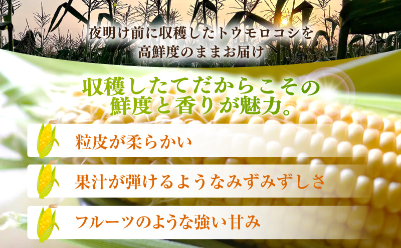 ææ¡ãïŒãšããããã2çš®ã»ããããã¬ãã¢ã 峿¥ïŒãã«ãã§ãå5æ¬ã»S101