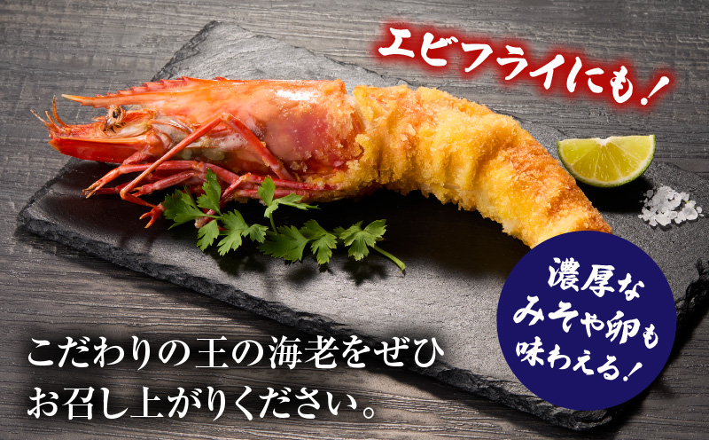 【数量限定！特別価格】〈高級〉KING SEA TIGER 王の海老2尾・K305-12