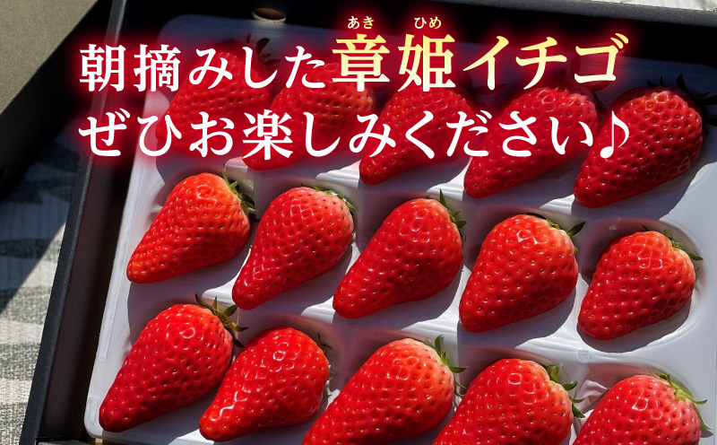 章姫(あきひめ) イチゴ15粒×1ケース 【生産地】愛知県西尾市産・D033