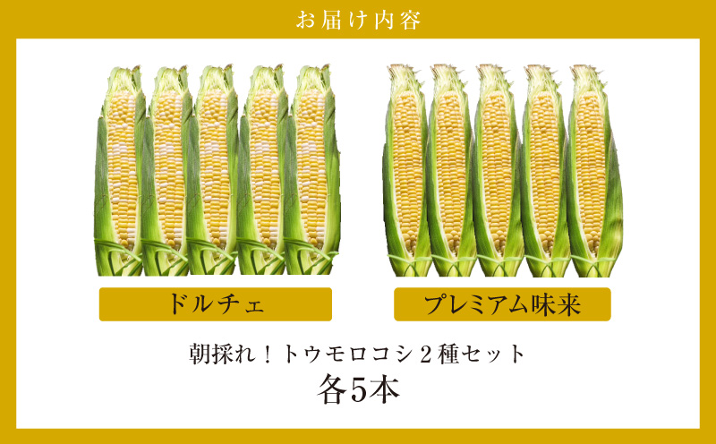 ææ¡ãïŒãšããããã2çš®ã»ããããã¬ãã¢ã 峿¥ïŒãã«ãã§ãå5æ¬ã»S101