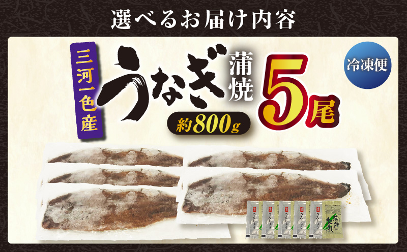 三河一色産うなぎ蒲焼 5尾（約800g）・O069