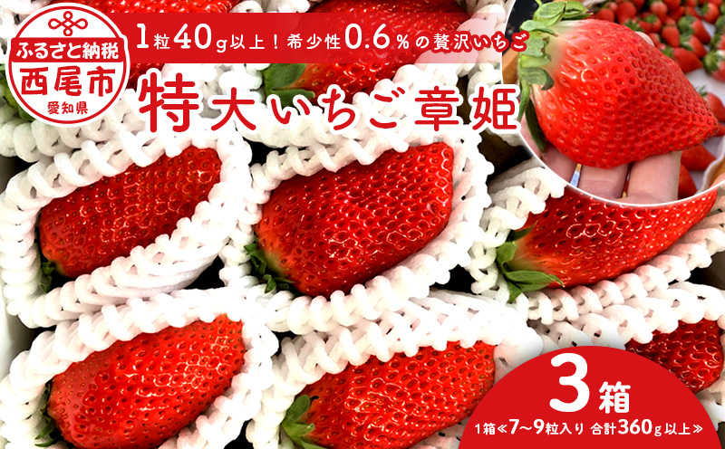 特大いちご(章姫)　360g以上(7〜9粒、1粒40g以上)×3箱 ・O045-26／オオダケイチゴ 