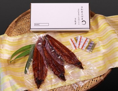 「生産者愛知養魚」がお届けする三河産うなぎ「蒲焼冷凍＜超特大＞3尾(合計580g〜600g)」 うなぎ 蒲焼き 鰻 ウナギ 国産うなぎ 愛知県 西尾市 大きいうなぎ 丑の日 土用の丑の日 ・A091-25