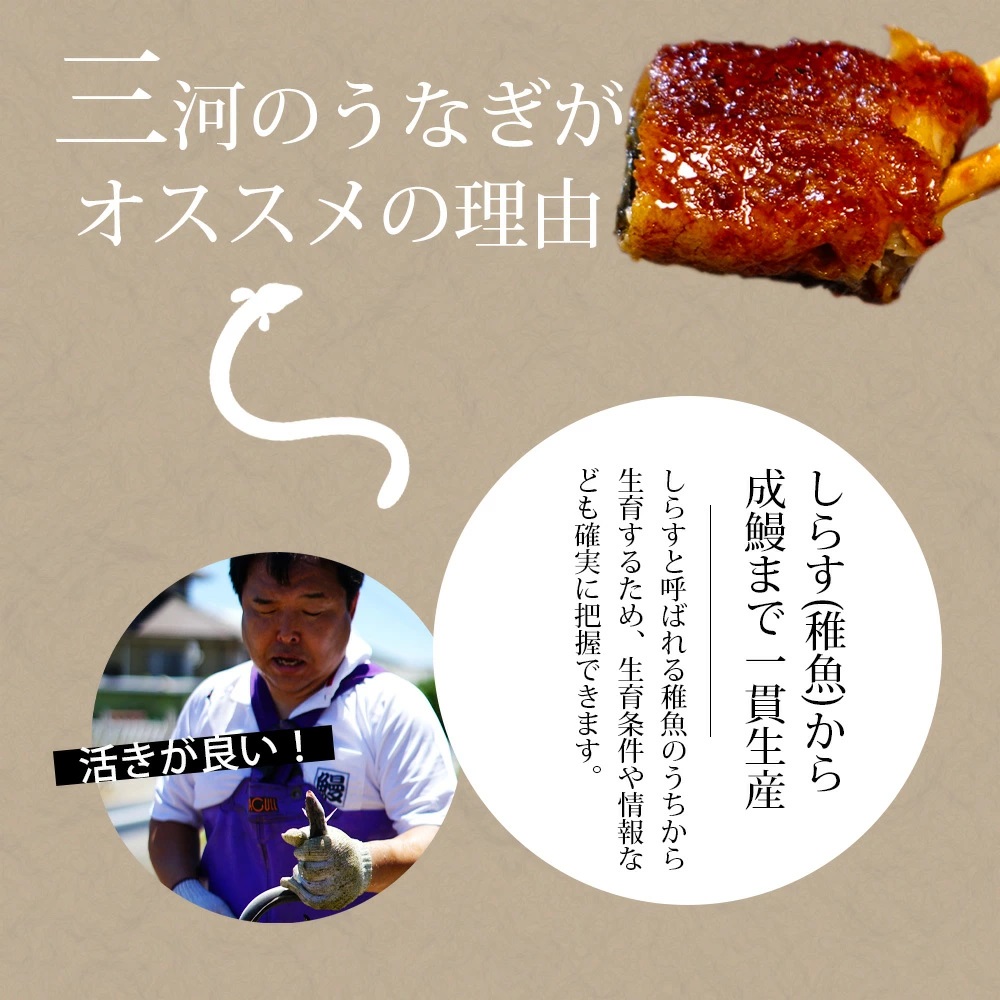 三河産うなぎ「おばけ蒲焼うなぎ2尾」(2尾合計450〜460g) 鰻 ウナギ うなぎ 蒲焼 国産 うなぎ蒲焼 タレ付き たれ 国産うなぎ 蒲焼き うな丼 丑の日 土用の丑の日・A126-19