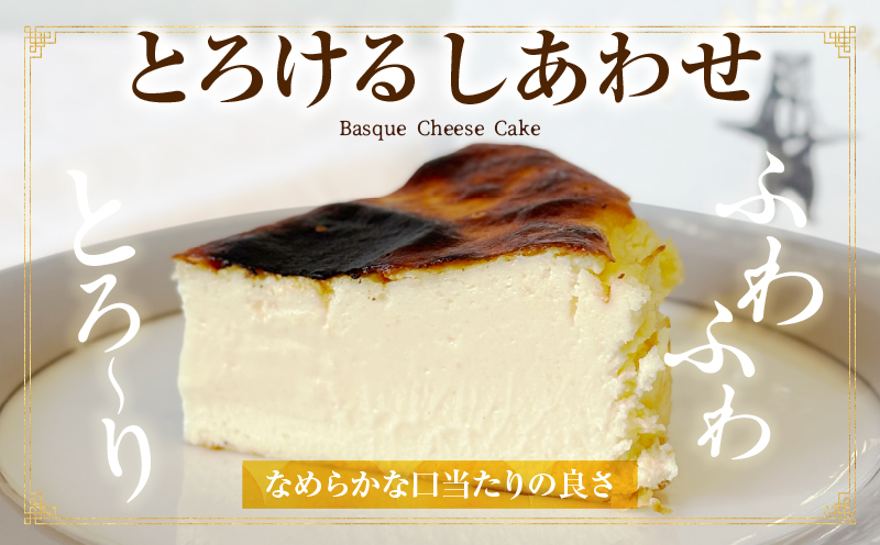 究極のとろけるバスクチーズケーキ　2点セット・T113