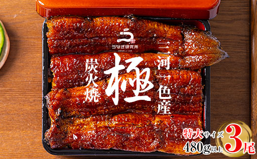 【３月限定！特別価格】三河一色産うなぎ蒲焼特大3尾(480g以上)・R008_c