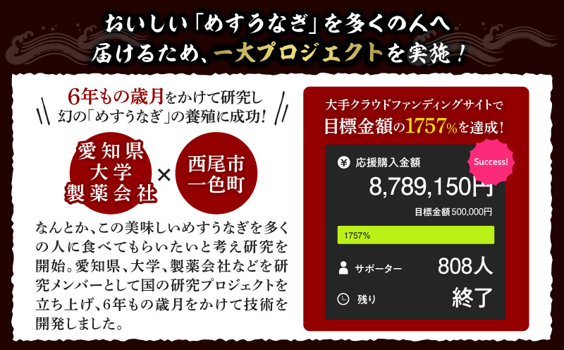 一色産めすうなぎ無頭長蒲焼2尾（300g）・I059