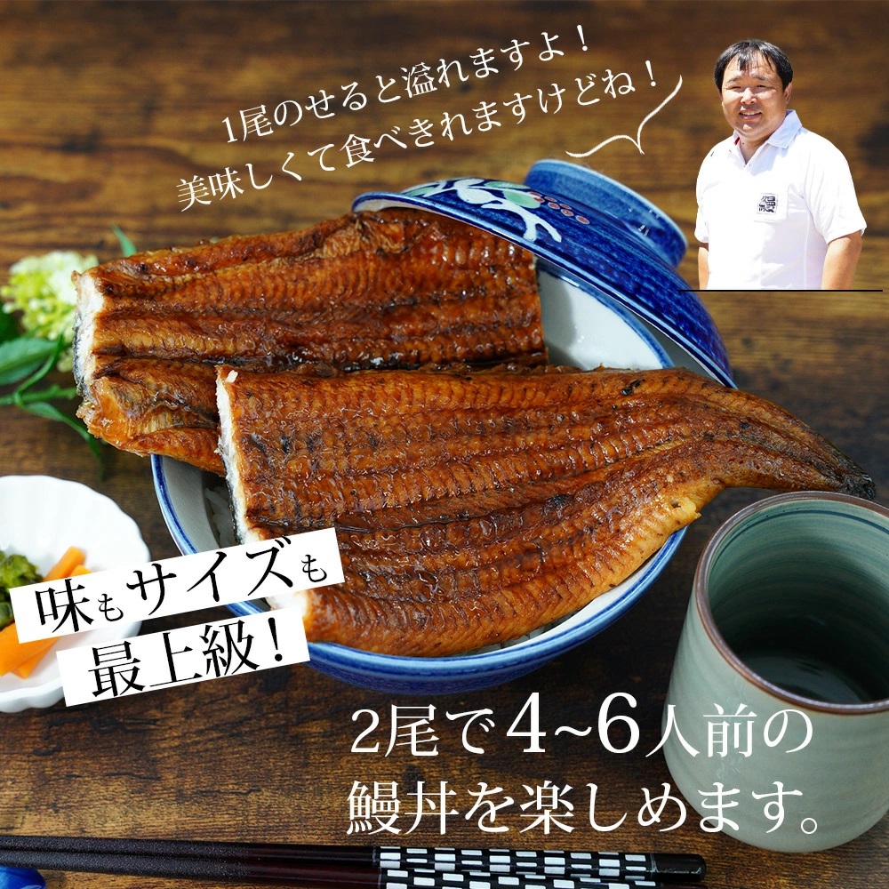 三河産うなぎ「おばけ蒲焼うなぎ2尾」(2尾合計450〜460g) 鰻 ウナギ うなぎ 蒲焼 国産 うなぎ蒲焼 タレ付き たれ 国産うなぎ 蒲焼き うな丼 丑の日 土用の丑の日・A126-19