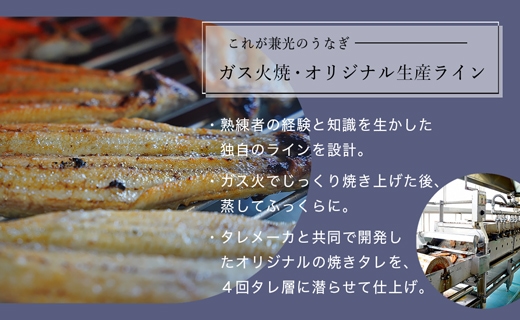 愛知県三河一色産　お手軽　きざみうなぎ　50g×（20+5）P・U038-26