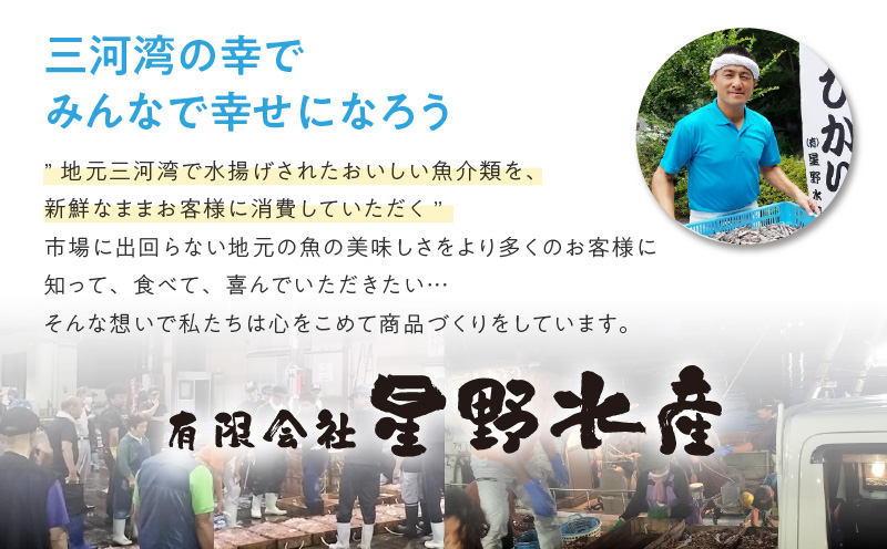 蝗ス逕」螟ゥ辟カ繝サ辟。豺サ蜉繝繧ュ繧ィ繝薙サH072