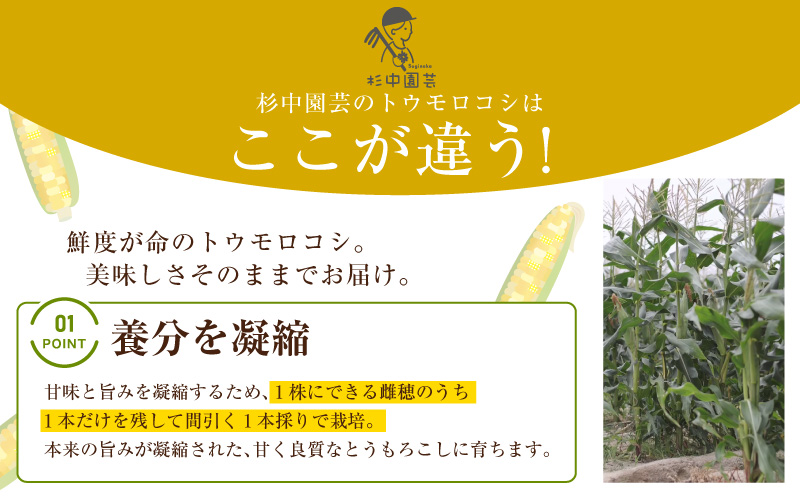 ææ¡ãïŒãšããããã2çš®ã»ããããã¬ãã¢ã 峿¥ïŒãã«ãã§ãå5æ¬ã»S101