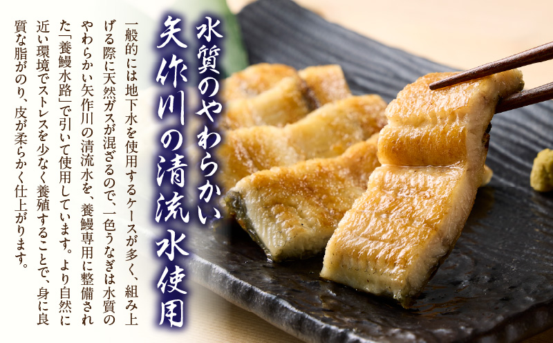 炭火手焼きうなぎ白焼き3尾 化粧箱入（1尾あたり155g以上）・S103